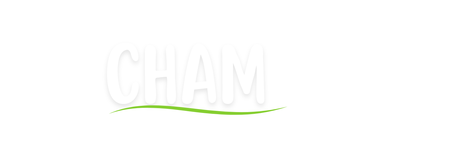 www-chamillionaire-pro.pages.dev favicon
